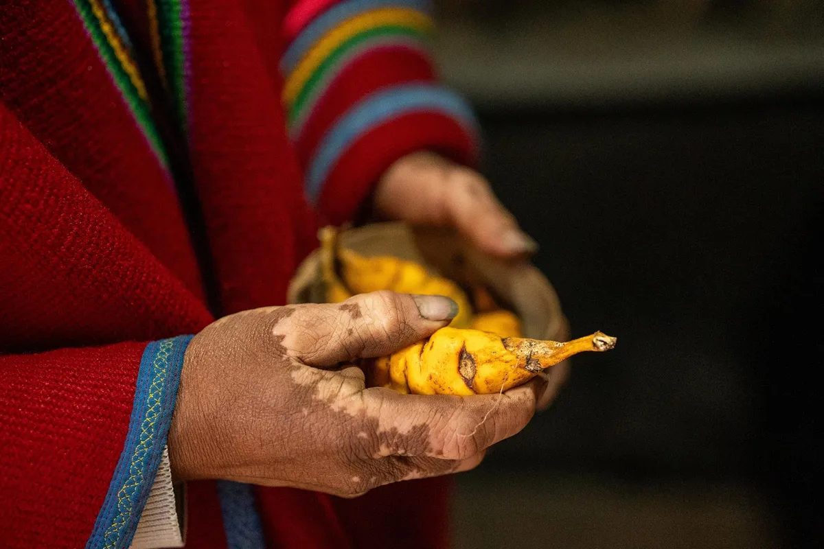 The Secret Behind Indigenous Andeans’ “Digestive Superpower” May Be Potatoes