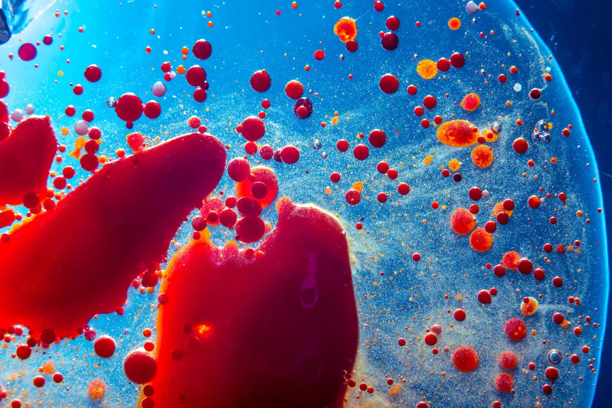 Your Blood Cells Are Carrying a 700-Million-Year-Old Secret