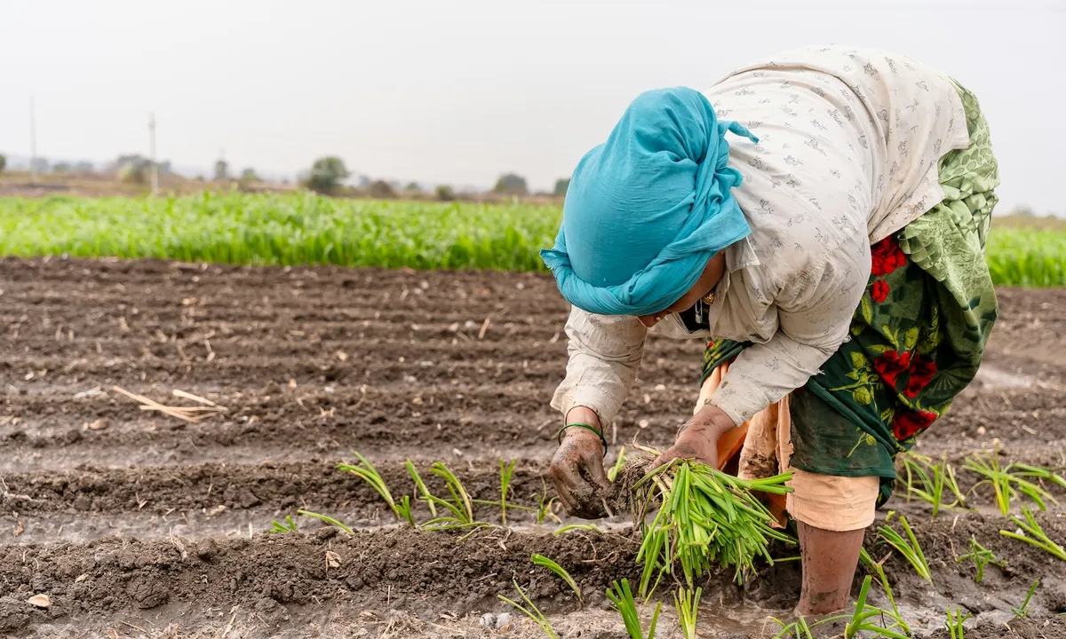 Food Tank’s Weekly News Roundup: India Acts to Empower Women Farmers, $127 Million in USDA Grants Restored, Nigeria’s Hunger Crisis Worsens