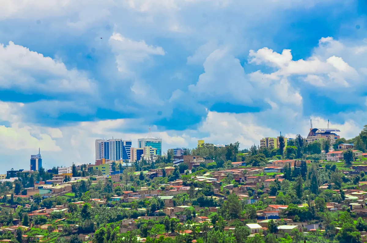 As African cities heat up, a new book argues trees are part of the solution